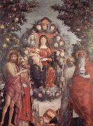 Andrea Mantegna Trivulzio Madonna oil on canvas